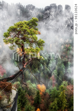 Lonely tree and rock formations at background Lonely tree and rock formations at background 98110624