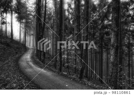 Light at the end of the empty road in the foggy dark forest 98110861