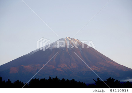 山梨県 鳴沢村から見た うっすら夕日をあびた初冠雪の富士山 98110953