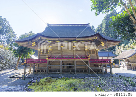 秋の日吉大社　東本宮の本殿背面（滋賀県大津市坂本） 98111509