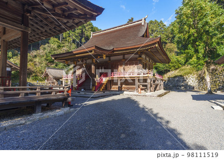 秋の日吉大社　東本宮拝殿と本宮（滋賀県大津市坂本） 98111519