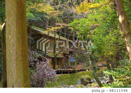 秋の日吉大社　料理旅館「日吉山荘」前 98111546