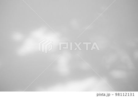 Abstract natural tree leaves shadow on white wall background Abstract natural tree leaves shadow on white wall background 98112131
