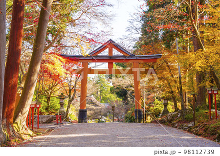 日吉神社　山王鳥居と紅葉（滋賀県大津市坂本） 98112739