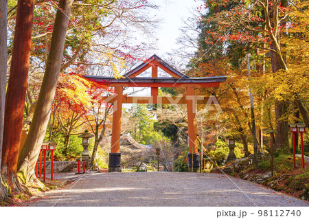 日吉神社　山王鳥居と紅葉（滋賀県大津市坂本） 98112740