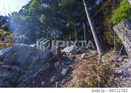 秋の日吉大社　八王子山　険しい山道（滋賀県大津市坂本） 98112783