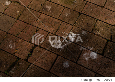 鳥の糞 98112854