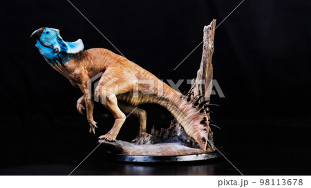 Protoceratops , dinosaur on black background Protoceratops , dinosaur on black background 98113678