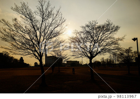 公園と夕日 シルエット 公園と夕日 シルエット 98113967