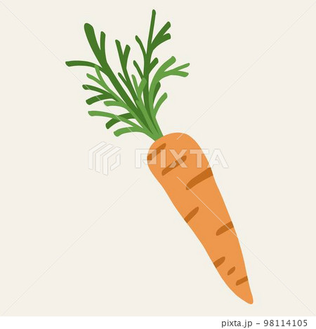 Doodle freehand simplicity drawing of carrot. 98114105