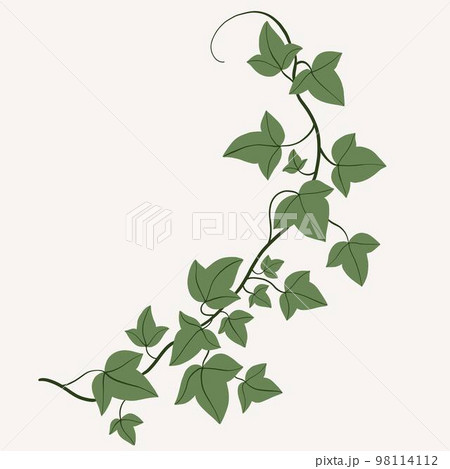 Floral ivy drawing decorative ornament flat design. 98114112