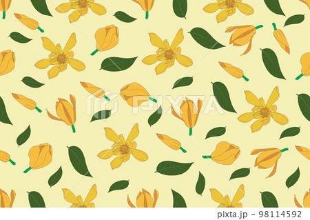 Illustration pattern of Yellow Champaka blooming flower with leaves on soft yellow background. Illustration pattern of Yellow Champaka blooming flower with leaves on soft yellow background. 98114592
