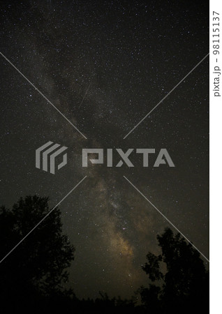 森の中から見上げる星空に流れ星 98115137