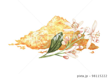 Grated peel with white lemon flowers. A bunch of zest. Watercolor illustration. Isolated on a white background. For your design packaging spices, decorating recipe sheets, cookbooks 98115222