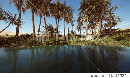 Fantasy pond oasis in a palm forest 98115522