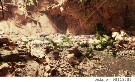 Trail in a Hawaiian rain forest leading to big cave 98115589