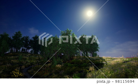 Beautiful panoramic landscape of the mountain valley Beautiful panoramic landscape of the mountain valley 98115694