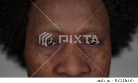 old Maori man portrait in the dark 98116237