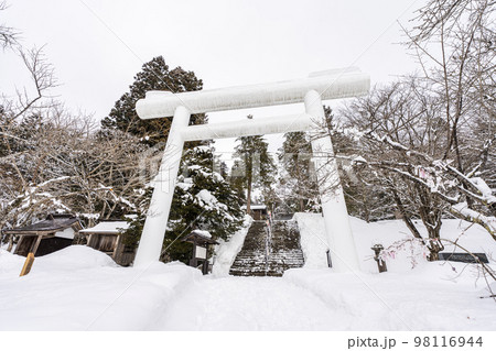 冬の土津神社 白い鳥居と参道 福島県猪苗代町 冬の土津神社 白い鳥居と参道 福島県猪苗代町 98116944