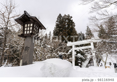 冬の土津神社　白い鳥居と参道　福島県猪苗代町 98116948