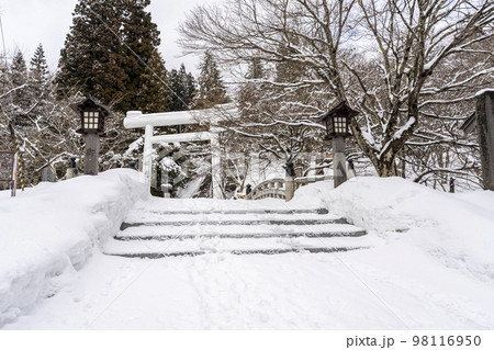 冬の土津神社 白い鳥居と参道 福島県猪苗代町 冬の土津神社 白い鳥居と参道 福島県猪苗代町 98116950