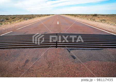 動物の侵入を防止するテキサスゲート 98117435