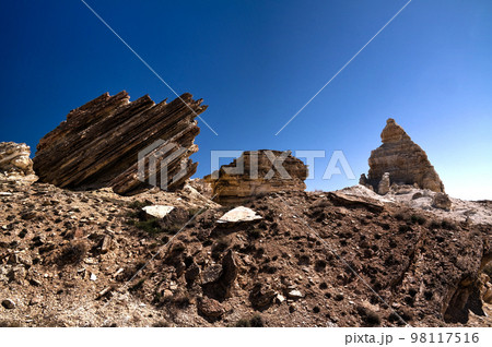 Panorama view to Plateau Ustyurt from the edge of Aral sea at Duana cape , Karakalpakstan, Uzbekistan 98117516