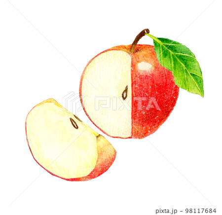 四分の一にカットした赤いりんご フルーツの手描き水彩イラスト素材 四分の一にカットした赤いりんご フルーツの手描き水彩イラスト素材 98117684