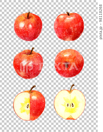 赤い蜜入りりんごのセット　フルーツの手描き水彩イラスト素材集 98118268
