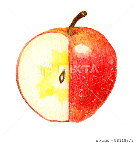 四分の一を切り取った蜜入りりんご フルーツの手描き水彩イラスト素材 四分の一を切り取った蜜入りりんご フルーツの手描き水彩イラスト素材 98118275