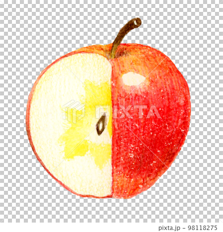 四分の一を切り取った蜜入りりんご フルーツの手描き水彩イラスト素材 四分の一を切り取った蜜入りりんご フルーツの手描き水彩イラスト素材 98118275