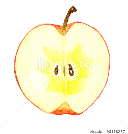 半分にカットした蜜入りりんご フルーツの手描き水彩イラスト素材 半分にカットした蜜入りりんご フルーツの手描き水彩イラスト素材 98118277