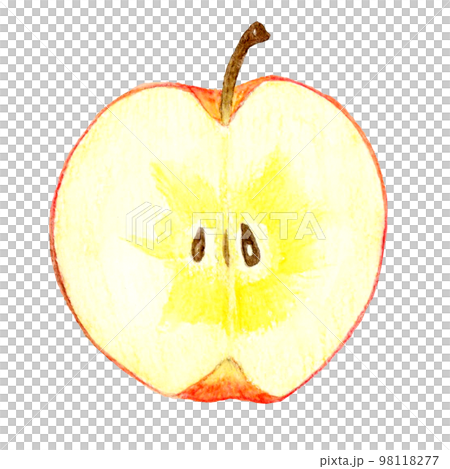 半分にカットした蜜入りりんご フルーツの手描き水彩イラスト素材 半分にカットした蜜入りりんご フルーツの手描き水彩イラスト素材 98118277