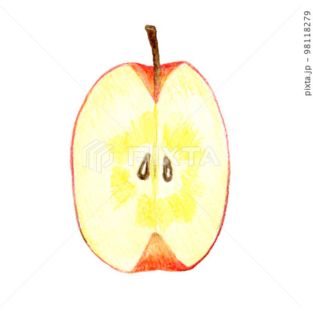 四分の一にカットした蜜入りりんご フルーツの手描き水彩イラスト素材