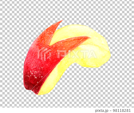 Rabbit apple fruit hand-painted watercolor illustration material 98118281