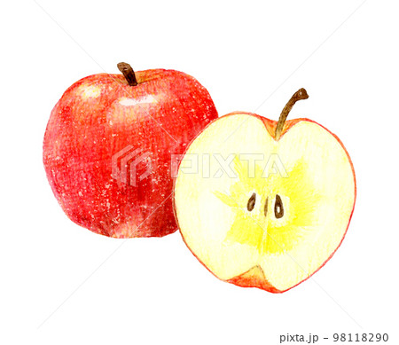 りんごの果実と半分にカットした蜜入りりんごのセット フルーツの手描き水彩イラスト素材 りんごの果実と半分にカットした蜜入りりんごのセット フルーツの手描き水彩イラスト素材 98118290
