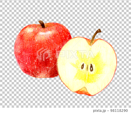 りんごの果実と半分にカットした蜜入りりんごのセット フルーツの手描き水彩イラスト素材 りんごの果実と半分にカットした蜜入りりんごのセット フルーツの手描き水彩イラスト素材 98118290
