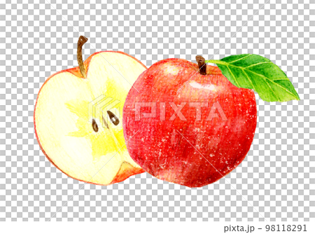 半分にカットした赤い蜜入りりんご　フルーツの手描き水彩イラスト素材 98118291