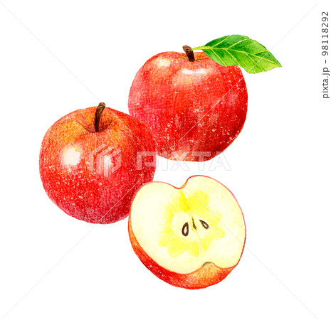 りんごの果実と半分にカットした蜜入りりんごのセット　フルーツの手描き水彩イラスト素材 98118292