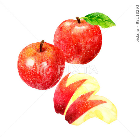 葉っぱ付きのりんご・半分にカットしたりんご・うさぎりんごのセット　フルーツの手描き水彩イラスト素材 98118293