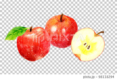 Set of apple fruit and honey-filled apple cut in half Fruit hand-painted watercolor illustration material Set of apple fruit and honey-filled apple cut in half Fruit hand-painted watercolor illustration material 98118294