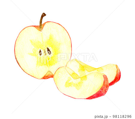 半分にカットしたりんごとくし切りのりんごのセット フルーツの手描き