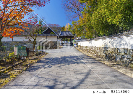 大津市 延暦寺門前の滋賀院山門と紅葉 大津市 延暦寺門前の滋賀院山門と紅葉 98118666