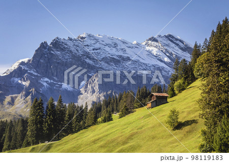 Snowcapped Bernese Swiss alps and alpine farms, Switzerland 98119183