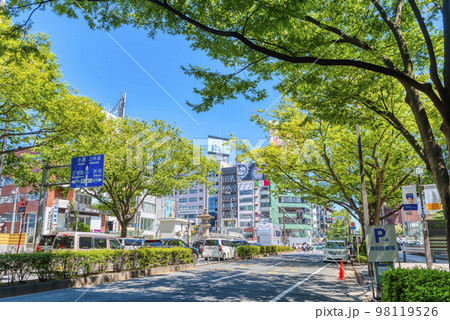 東京渋谷の都市風景　表参道 98119526