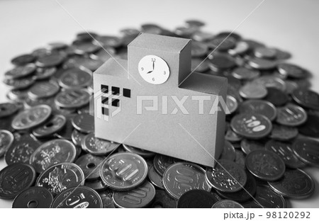 校舎と硬貨　教育費　学校の収入 98120292