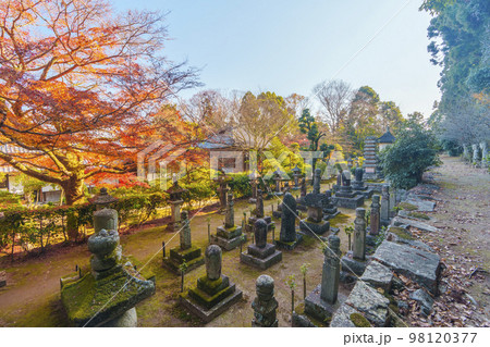 慈眼堂 阿弥陀如来石像十三体(滋賀県大津市坂本) 慈眼堂 阿弥陀如来石像十三体(滋賀県大津市坂本) 98120377