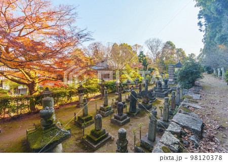 慈眼堂　阿弥陀如来石像十三体（滋賀県大津市坂本） 98120378