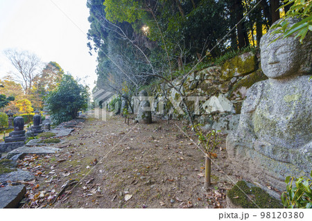 慈眼堂　阿弥陀如来石像十三体（滋賀県大津市坂本） 98120380