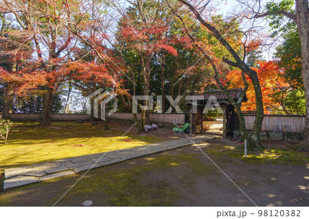 慈眼堂　美しい境内　紅葉の季節（滋賀県大津市坂本） 98120382